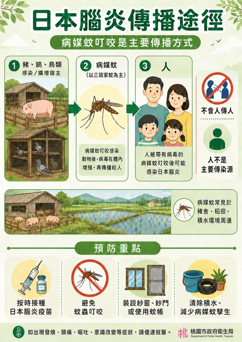 桃市新增2例日本腦炎病例　衛生局立即啟動防疫機制