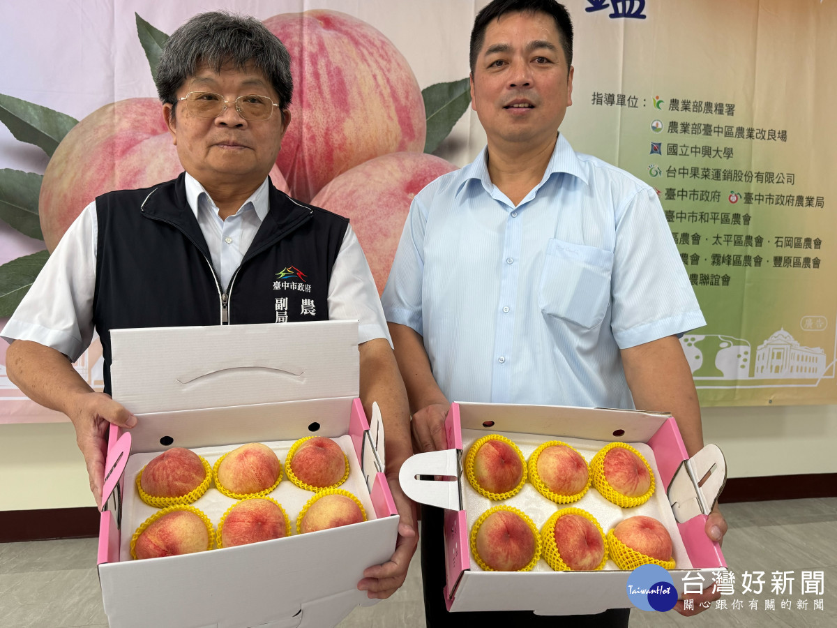 蜜桃愛馬仕在梨山　「臺中領鮮」梨山水蜜桃祭出一盒免運產地直送鮮甜到家