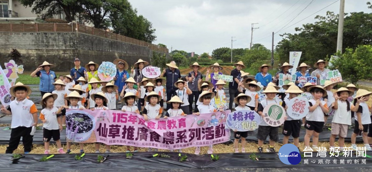 楊梅區農會攜手在地夥伴　百人齊種仙草打造低耗水永續農業