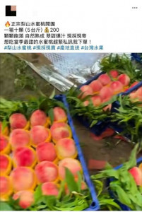 賣水蜜桃詐騙。(圖/烏日分局提供)