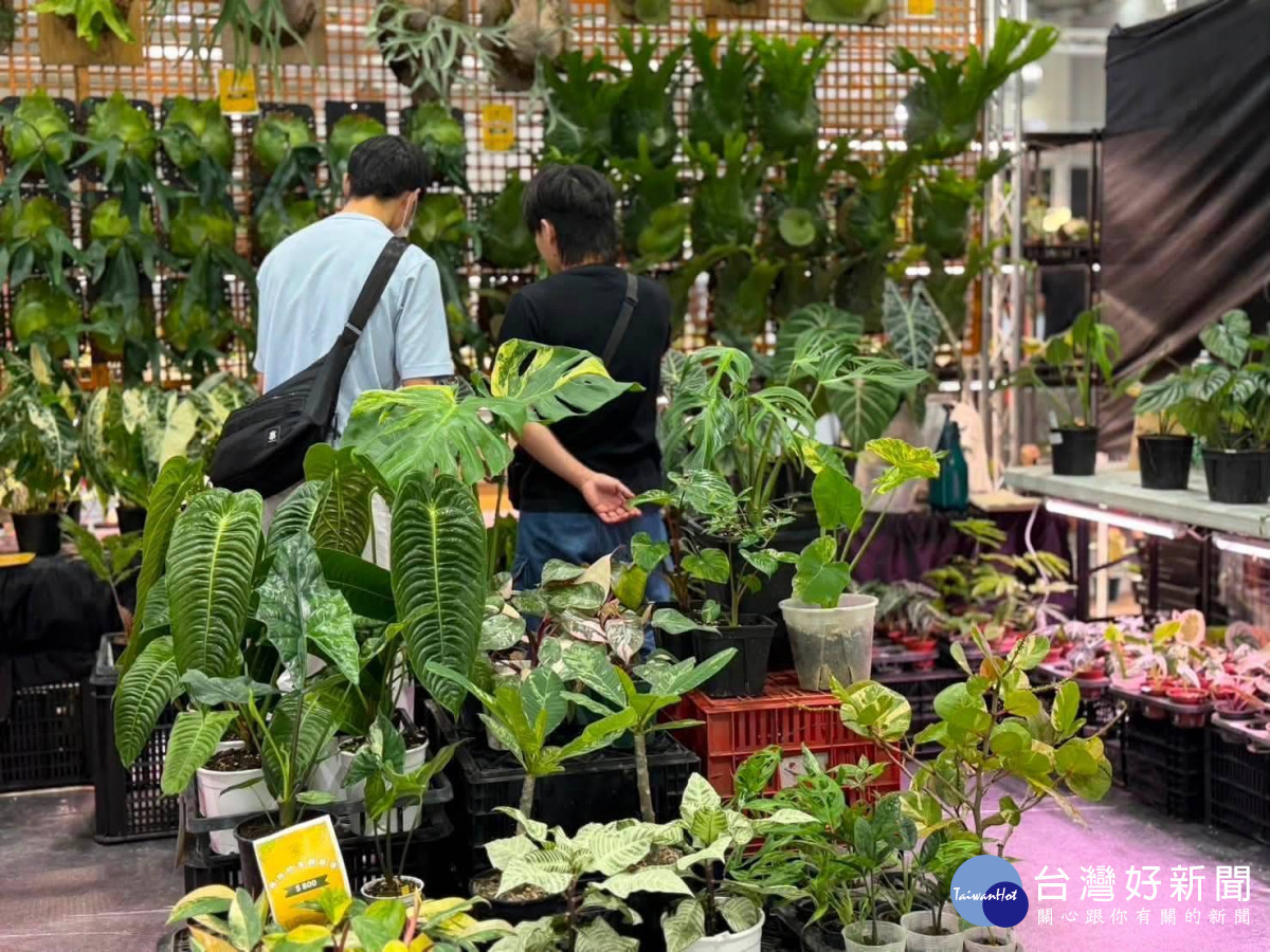 眾多植物愛好者到場參觀。