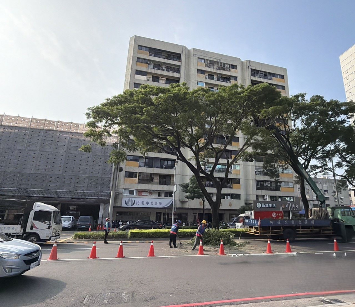 高雄建置380處行道樹智慧監測點　提前防範倒樹風險