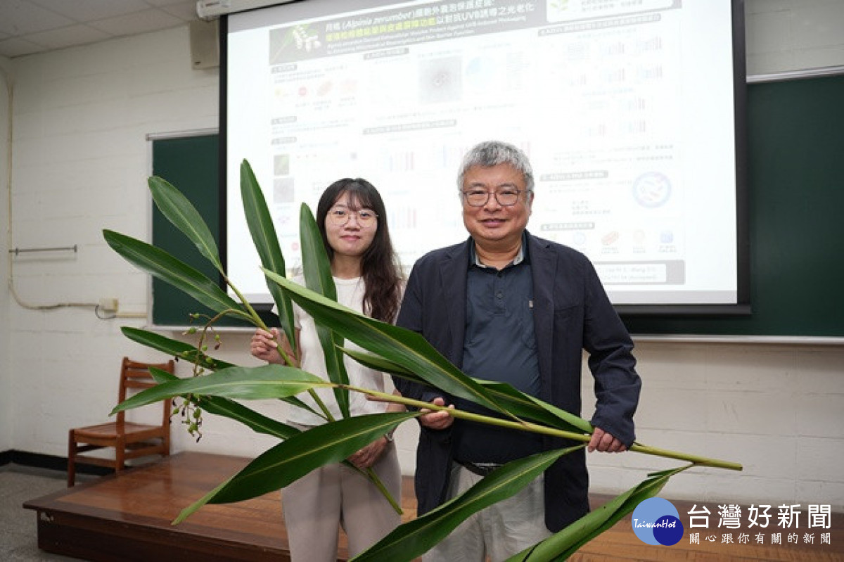 興大研究破解月桃抗老關鍵　植物細胞外囊泡修復肌膚、提升細胞能量