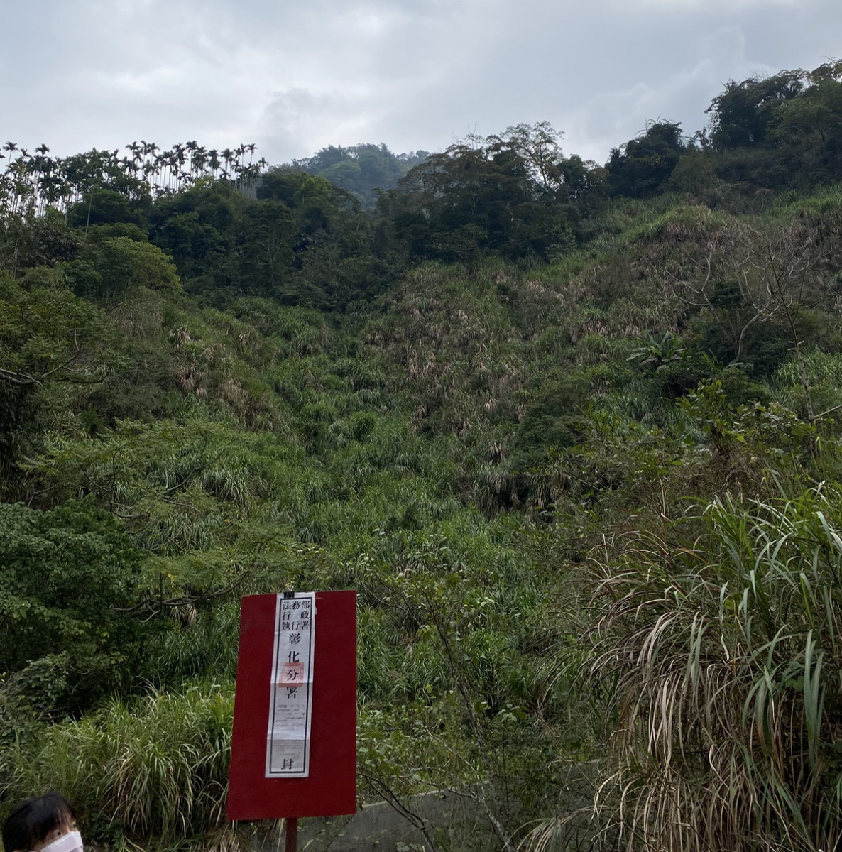 交通專案標的9萬起競標 商業區大面積房地特別變賣中