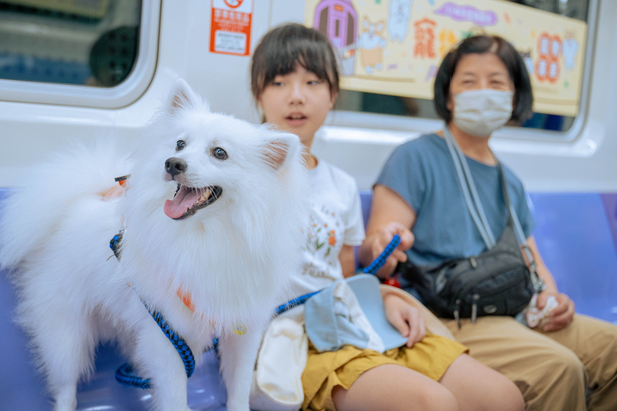 桃園捷運8/2推出限定「寵物友善列車」免報名兜風趣。<br />