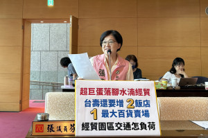 台中超巨蛋落腳水湳經貿園區 張芬郁議員憂心交通難負荷
