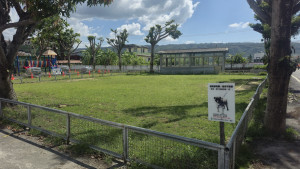 環保局於碧峰里推動雜草友善管理示範區，守護縣民健康。（南投環保局提供）