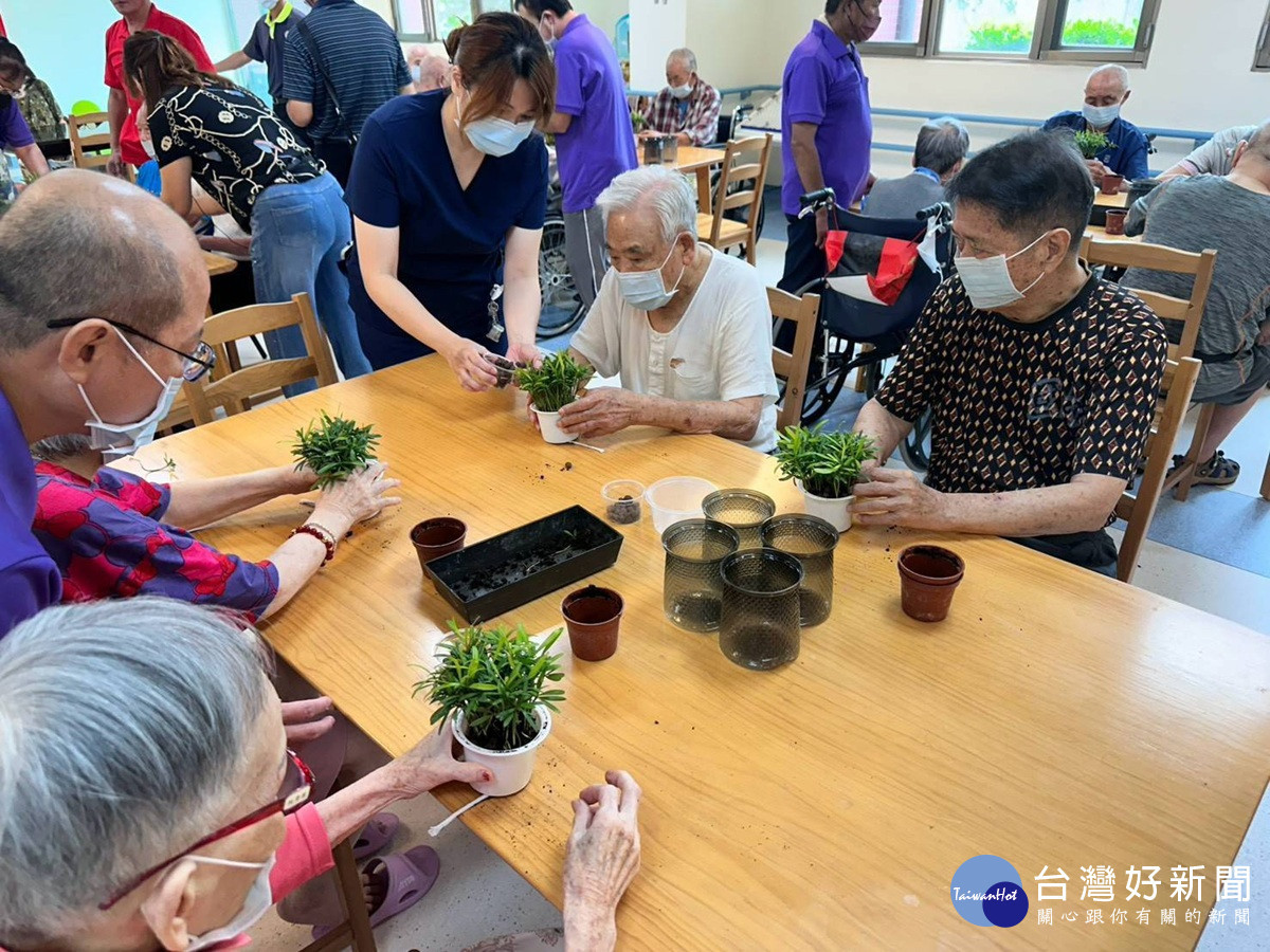 巧手植綠療癒身心 榮家長輩DIY羅漢松水耕盆栽樂享園藝時光