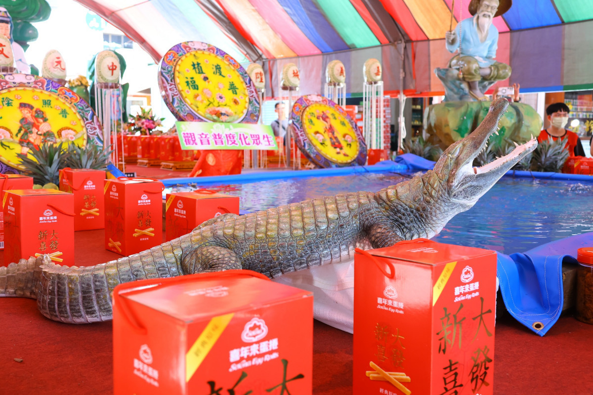 鱷魚、龍蝦等供品相當吸睛/嘉義市府提供