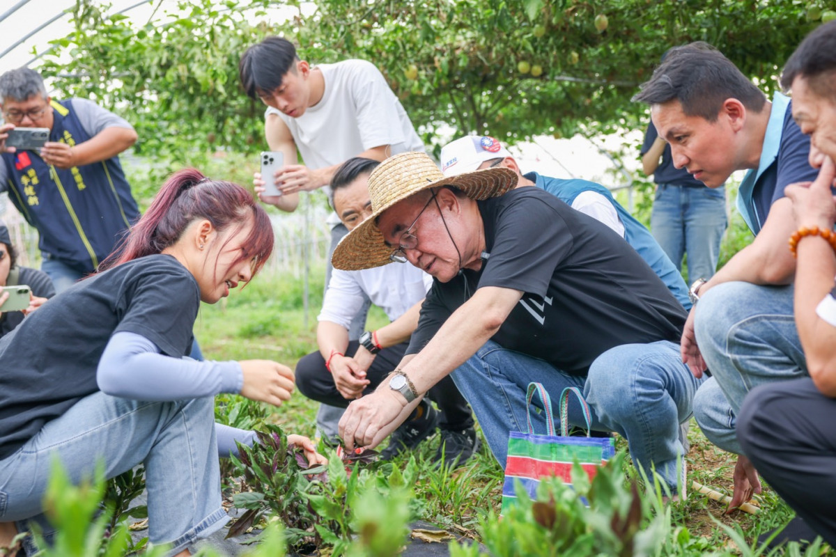 下田採菜下廚展現純熟刀工！　李四川走訪淡水牛埔有機農場力推食農教育
