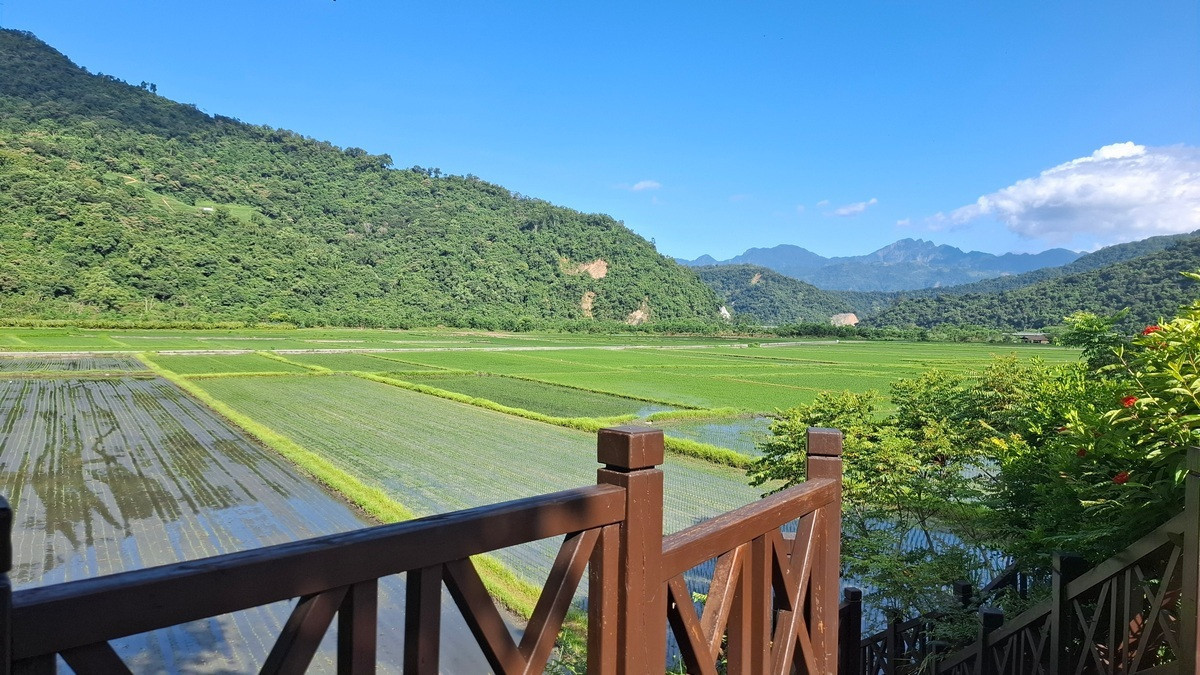 玉山腳下的第一畝田。(圖/玉管處提供)