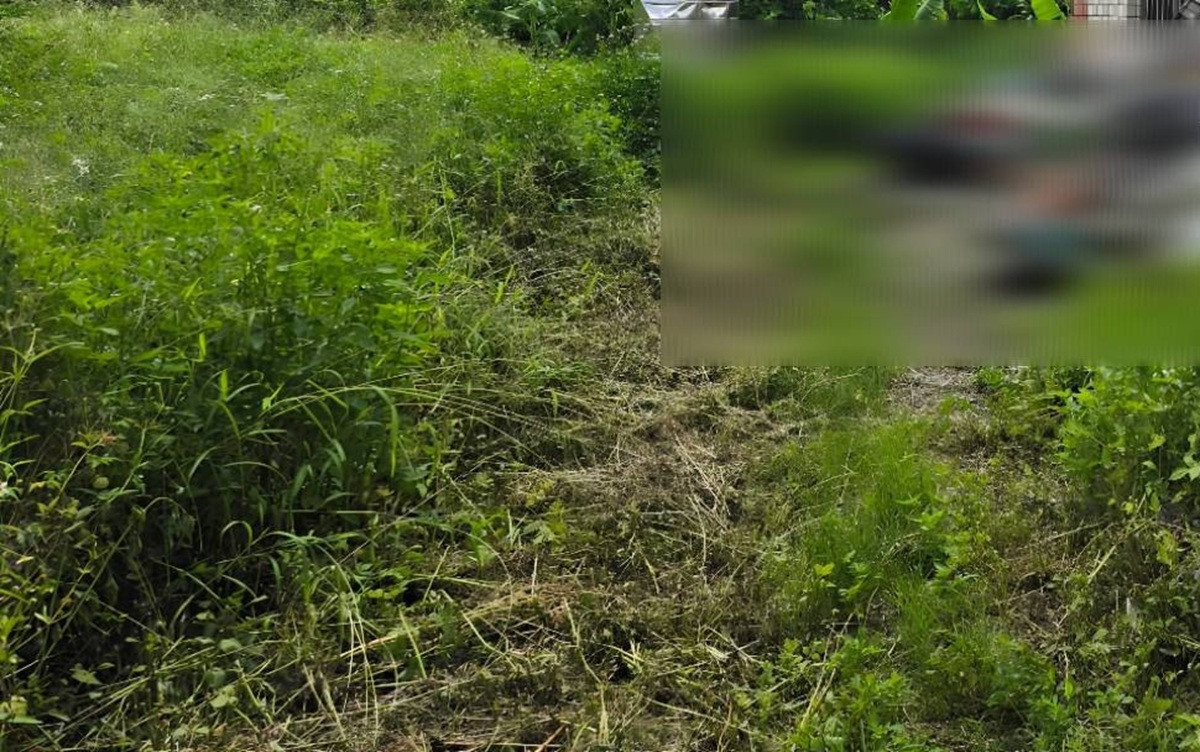 長輩無照駕駛拒酒測遭罰　家屬為保土地一次繳清欠款