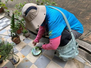 世界蚊子日！屏縣府啟動防疫聯防　呼籲民眾暑假、開學齊防登革熱