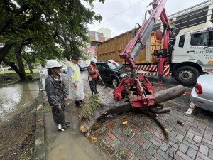 （圖／高雄市府工務局公園處）