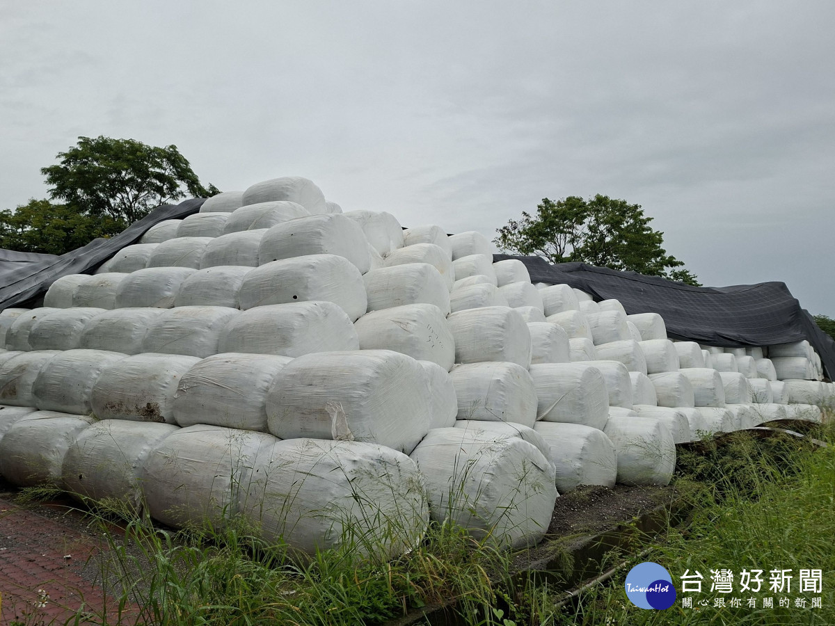 再爆量！大里堆置垃圾逾47萬噸　中市環保局：焚化爐量能提升一周可多處理千噸