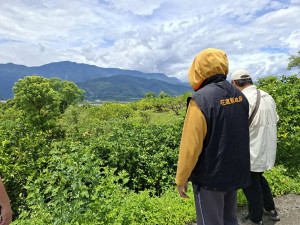 三月降雨不足影響果樹著果　花蓮縣府積極爭取玉里砂糖橘、肚臍橙天然災害現金救助