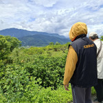 三月降雨不足影響果樹著果　花蓮縣府積極爭取玉里砂糖橘、肚臍橙天然災害現金救助