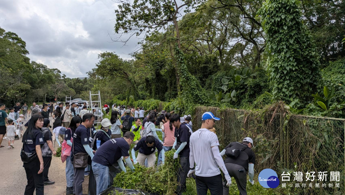 透過講座及實地除蔓行動,700人合力清除小花蔓澤蘭。