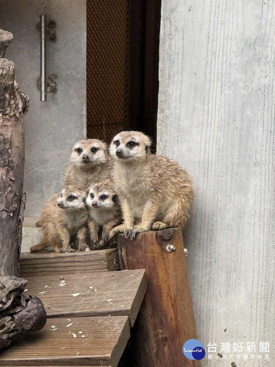 園內動物受到妥善照顧。