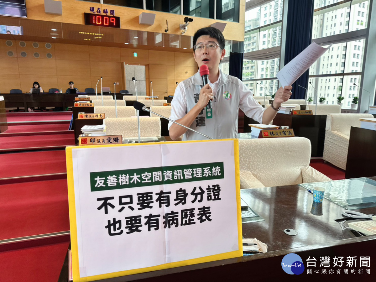 屢見路樹無預警倒塌成隱憂　議員促建置「樹木病歷表」讓路樹狀態透明化