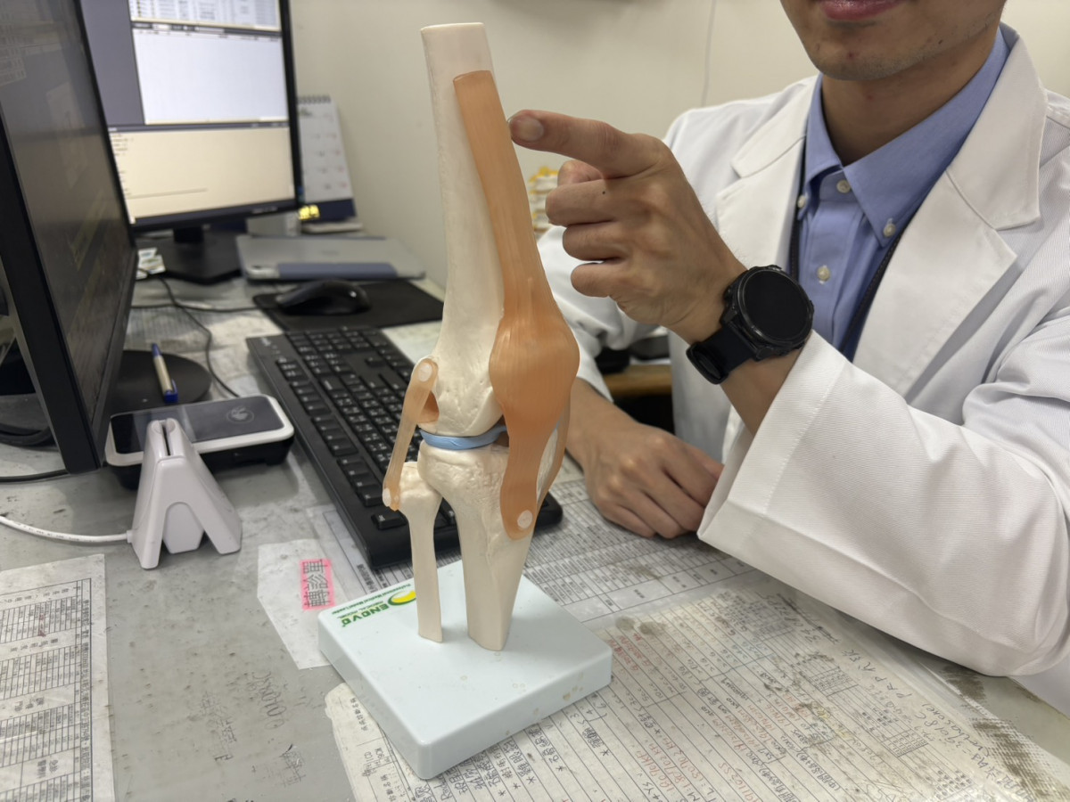 生長痛的疼痛部位主要集中在大腿前側、膝蓋後方或小腿肚。照片提供：樂生醫院<br />
<br />
