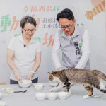 毛小孩月餅邀請貓咪「眉睫」現場試吃。