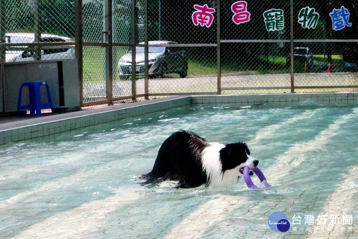 南昌動物保護教育園區寵物戲水區。