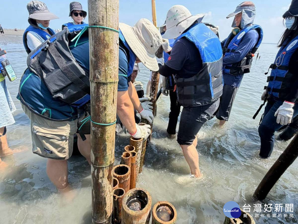 嘉義縣環境保護局8日舉辦「沙出重圍，嘉倍護岸」環境教育活動／縣府提供