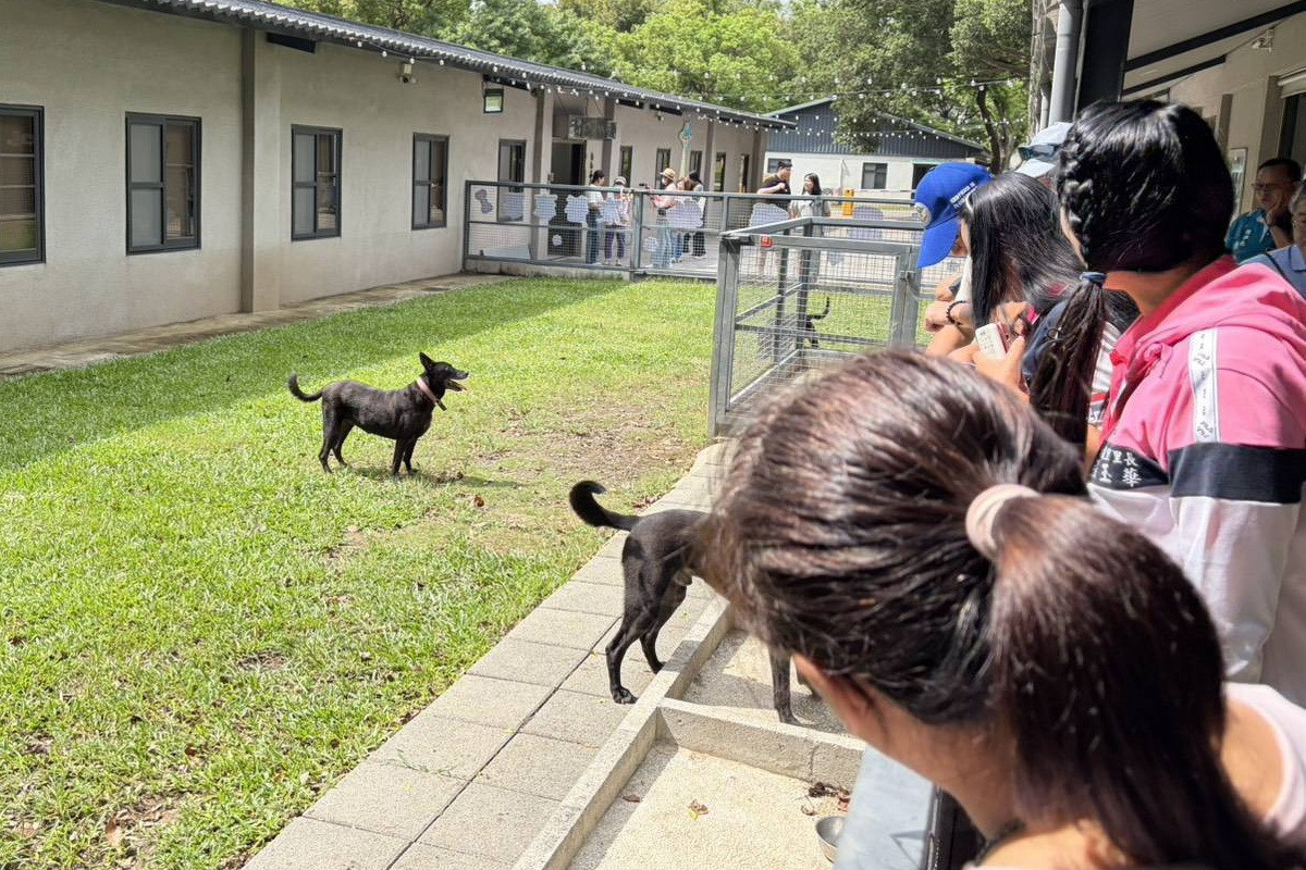 「2026全國友善動物社區治理研習」於桃園市南昌動物保護教育園區登場。