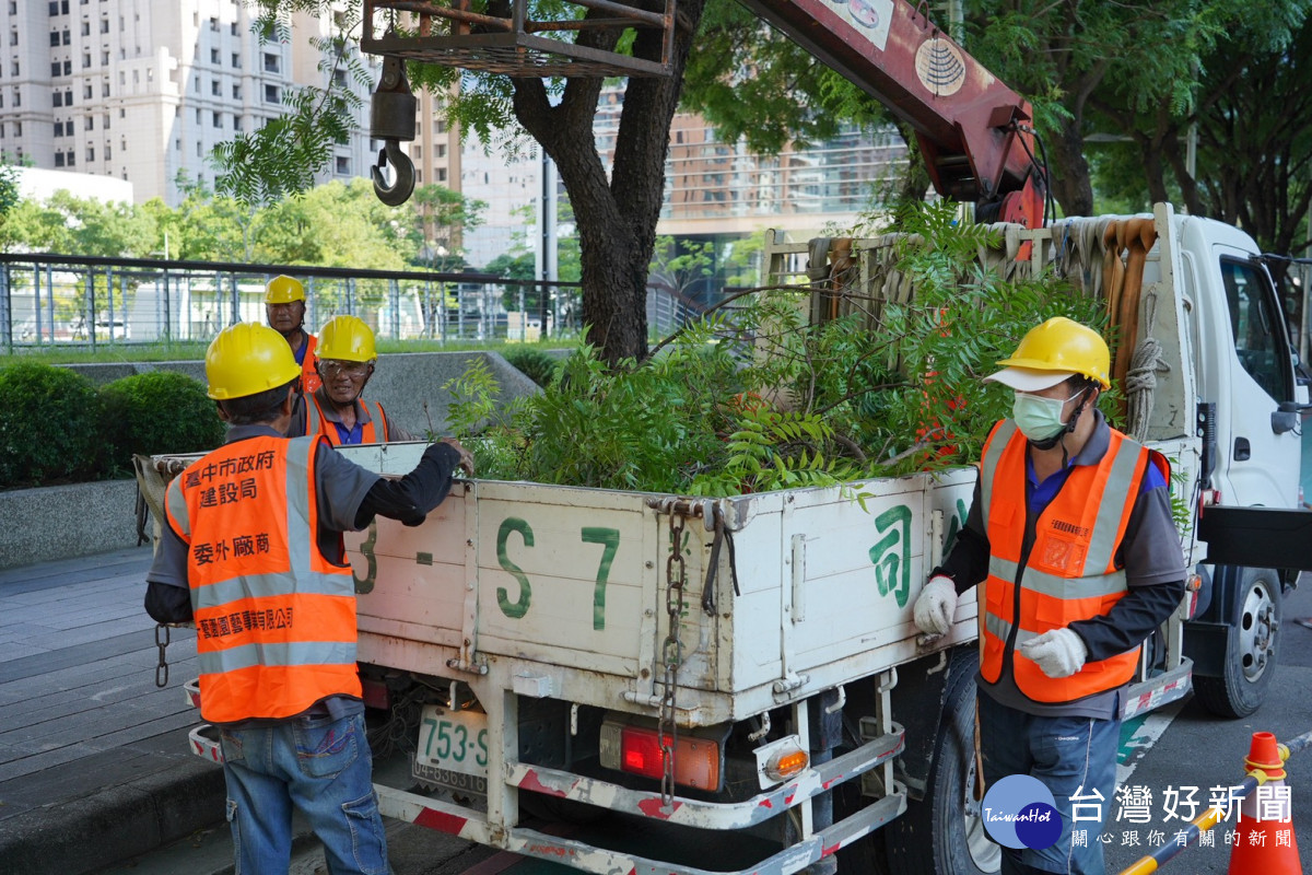 修剪後的枝條經過循環技術重新活化，再轉化為市民日常生活所需的產品