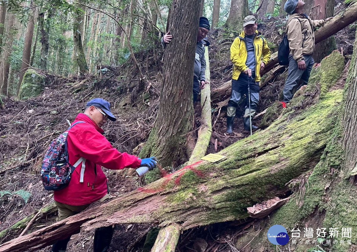 走進山林第一線　新竹分署招募11名森林護管員