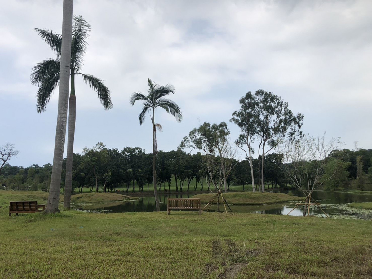 (圖/高雄市府工務局公園處)