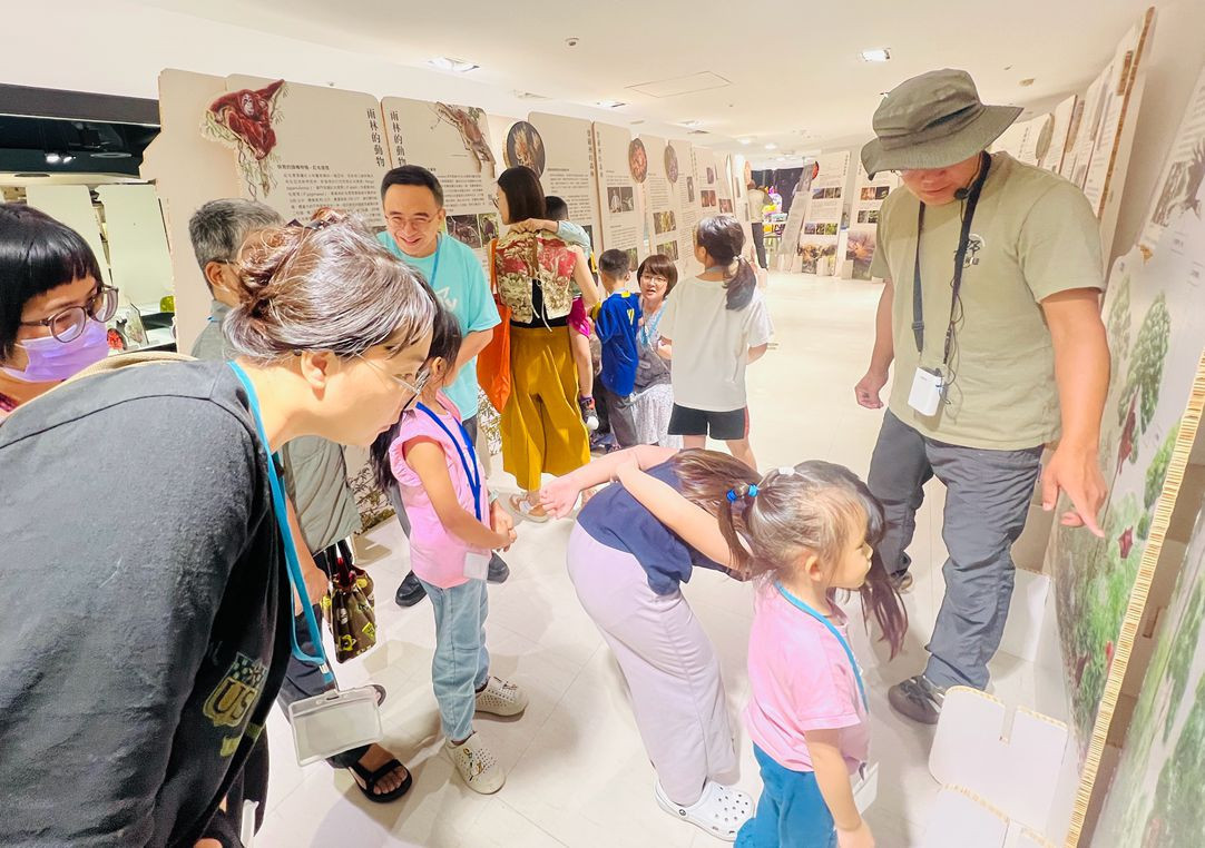台南大遠百《婆羅洲熱帶雨林野生動植物巡迴展》登場　邀民眾挺保育