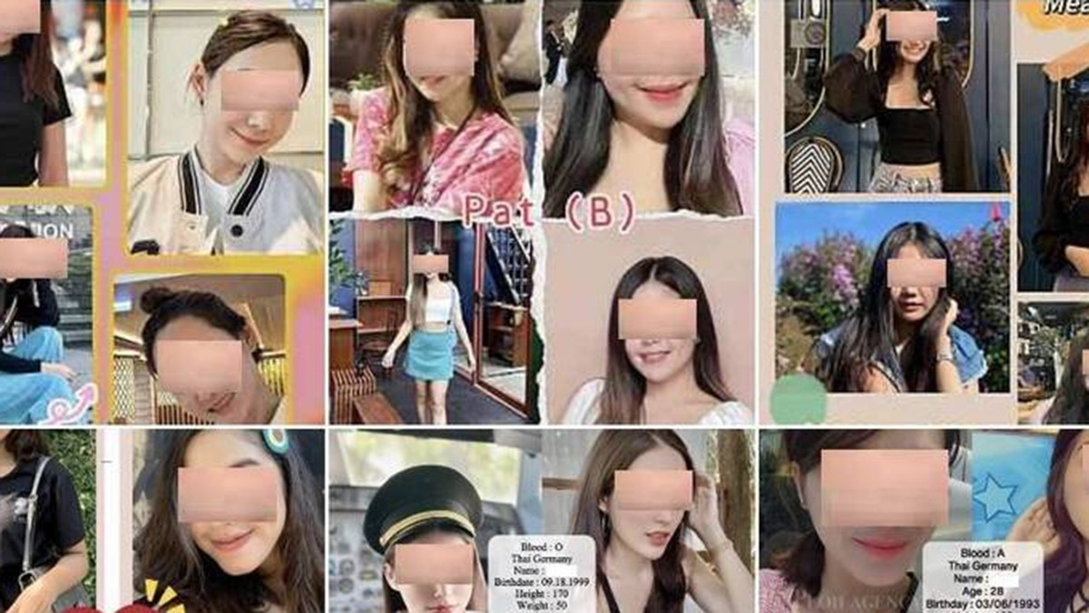 該集團提供卵母及代理孕母供客戶挑選，並以跨國分工方式完成「訂製嬰兒」流程。（圖/陳招宗 翻攝）