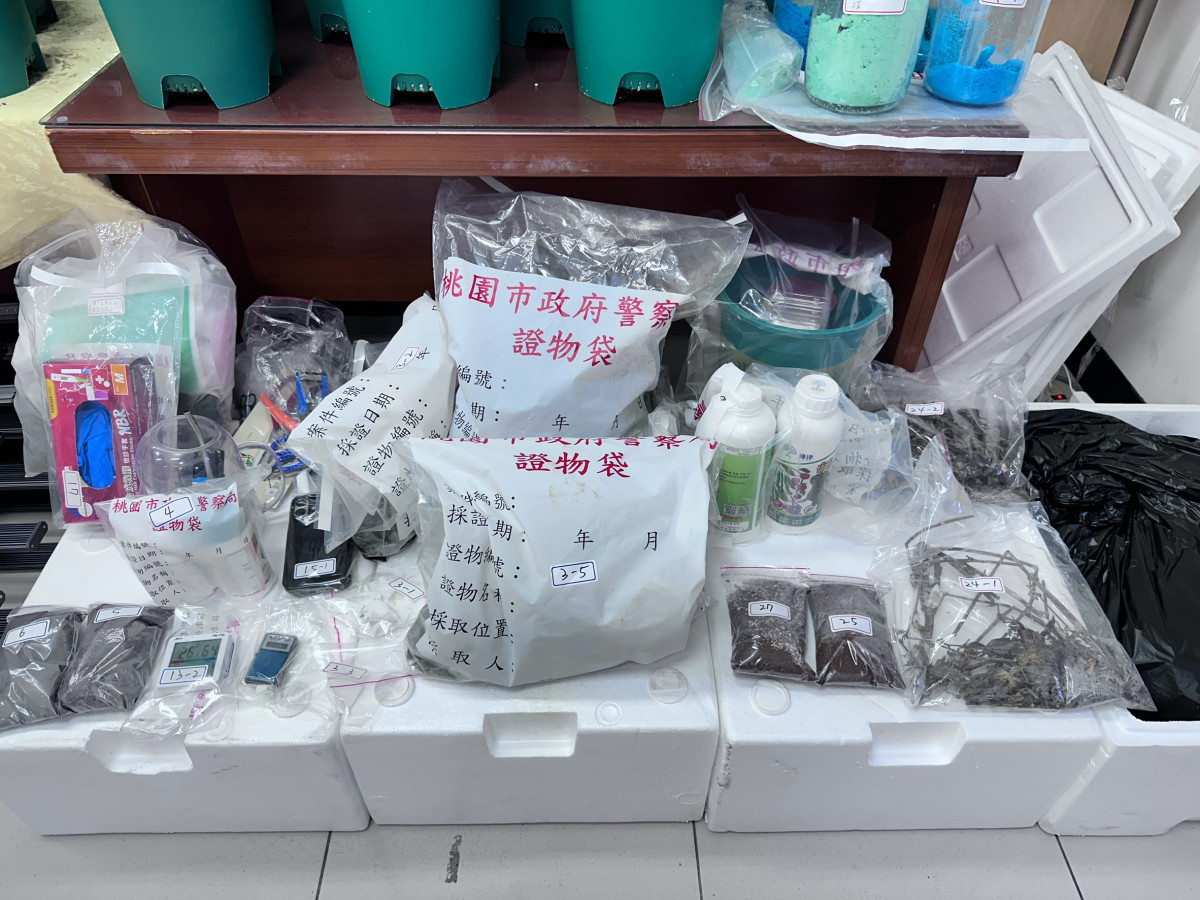 桃警偵破黑幫份子大麻毒品製造工廠。