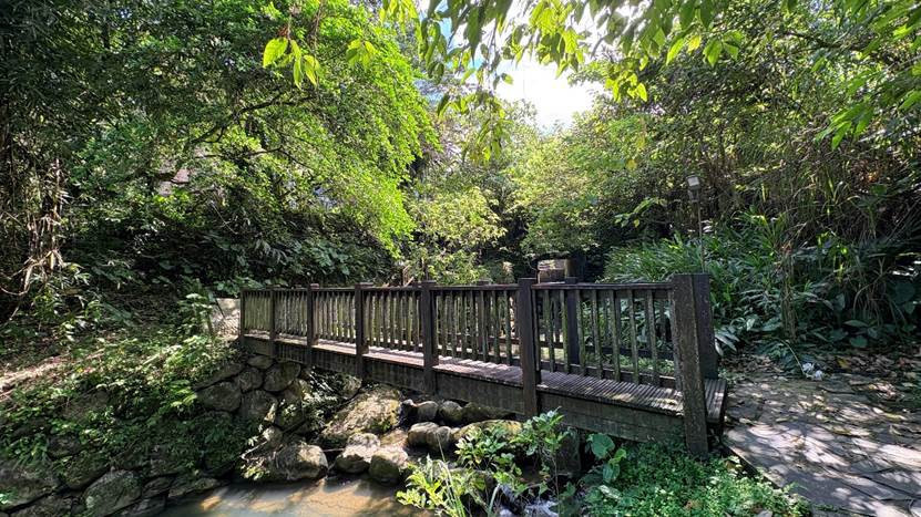 漫步文山小坑溪親水文學步道　六百米綠廊串聯百年朴樹古廟探尋蕨類生機