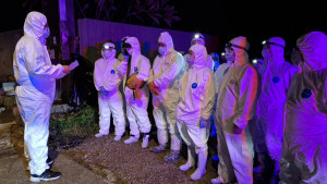 大園區一處畜牧場確診H5N1高病原性禽流感，動保處接獲通報後2小時內即派員到場採樣，並立即實施移動管制。