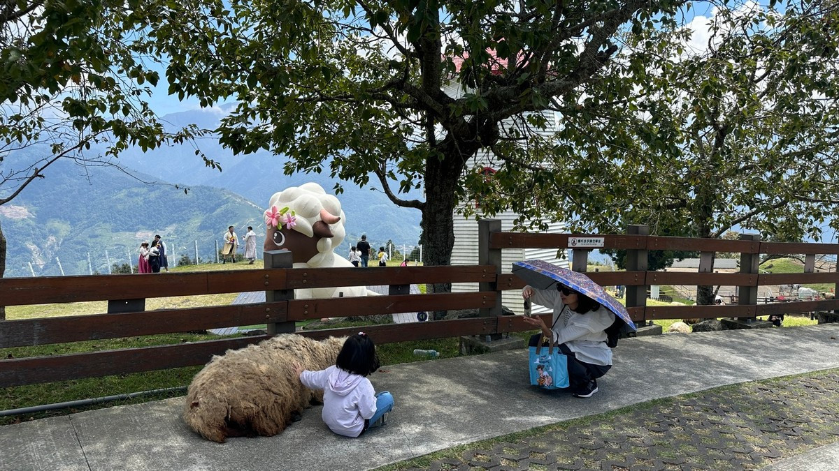 圖說:清境高山、草原及自然景致為背景拍照留念。(清境農場提供)