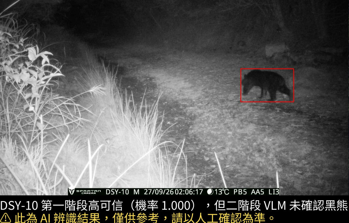 AI抓到黑熊現身大雪山森林遊樂區　熊蹤逼近遊客密集區