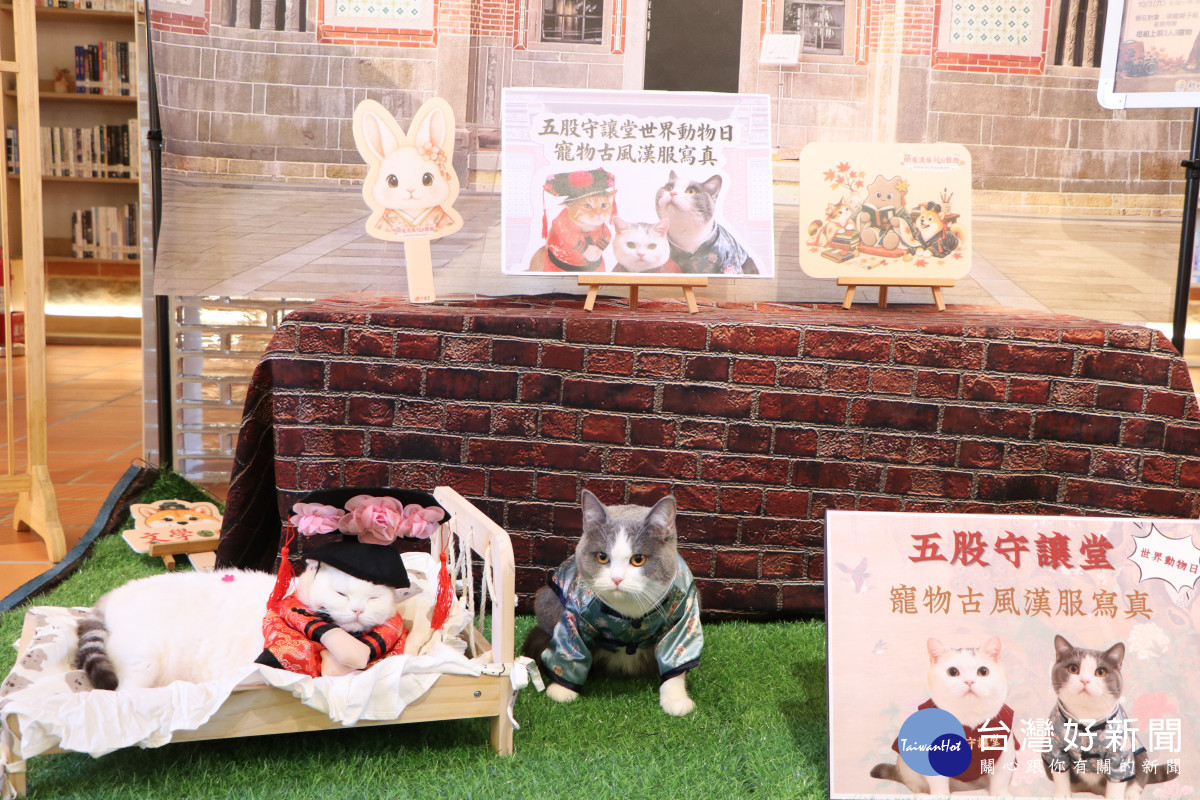 貓咪變格格、狗狗穿唐裝　五股守讓堂世界動物日萌寵寫真登場
