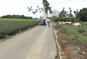 八卦山脈投86舊線廢線變產業道路殊為可惜。（林憶如提供）