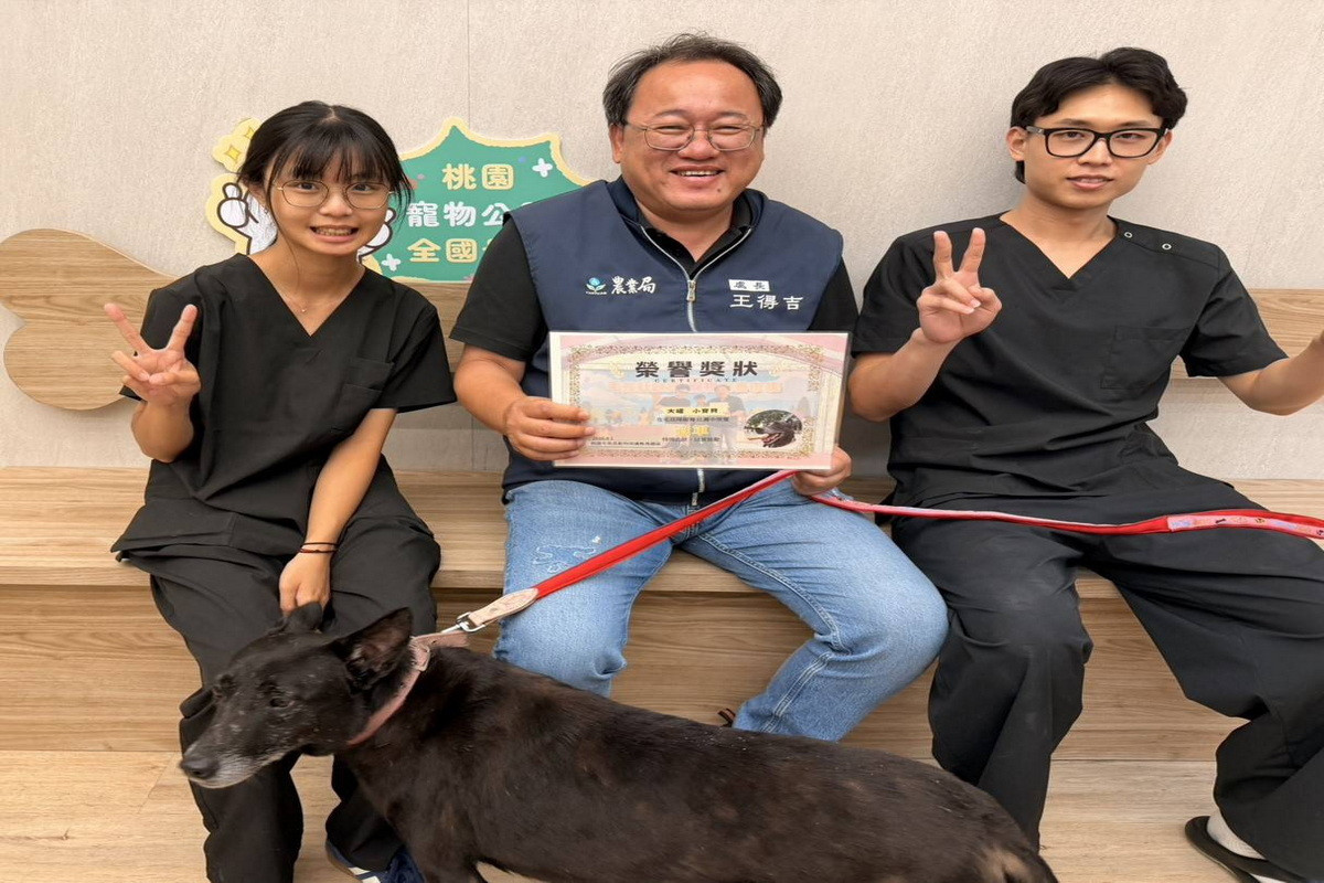 助7歲以上高齡毛孩找家，桃園市推出「老寶貝認養長照計畫」。<br />
