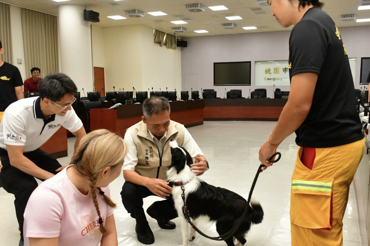 桃園市政府消防局辦理領犬員專業訓練，透過專業課程與實務經驗交流，強化搜救犬健康管理及緊急救護能力。<br />
<br />
