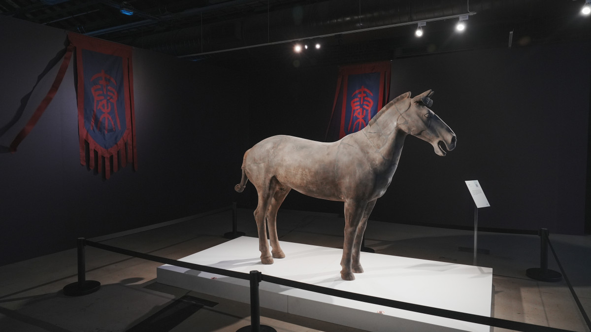 今年展覽另一項重要亮點,是特別新增原寸「車馬」展件,能直觀秦軍兵強馬壯的強盛背景/社團法人中華翰維文化推廣協會提供