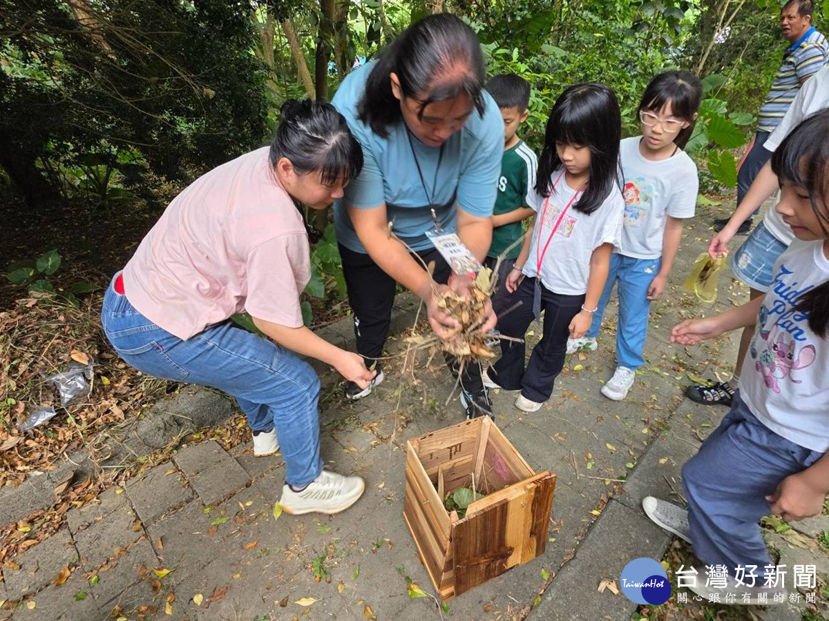 跨界攜手！　二水生態保育站為「領角鴞」打造溫暖新家