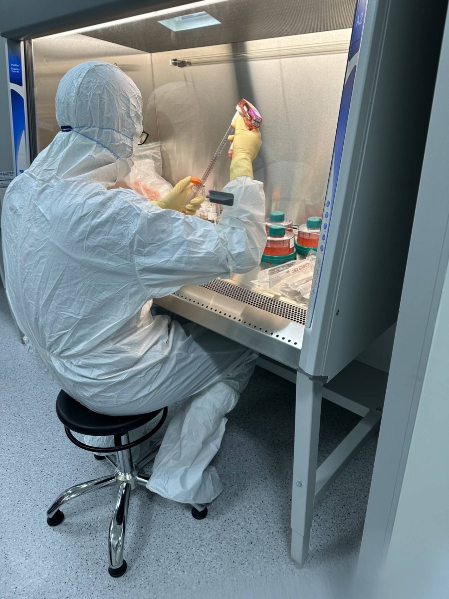 在細胞治療中心的細胞操作室(CPU)內，執行細胞培養操作(長庚醫院提供)
