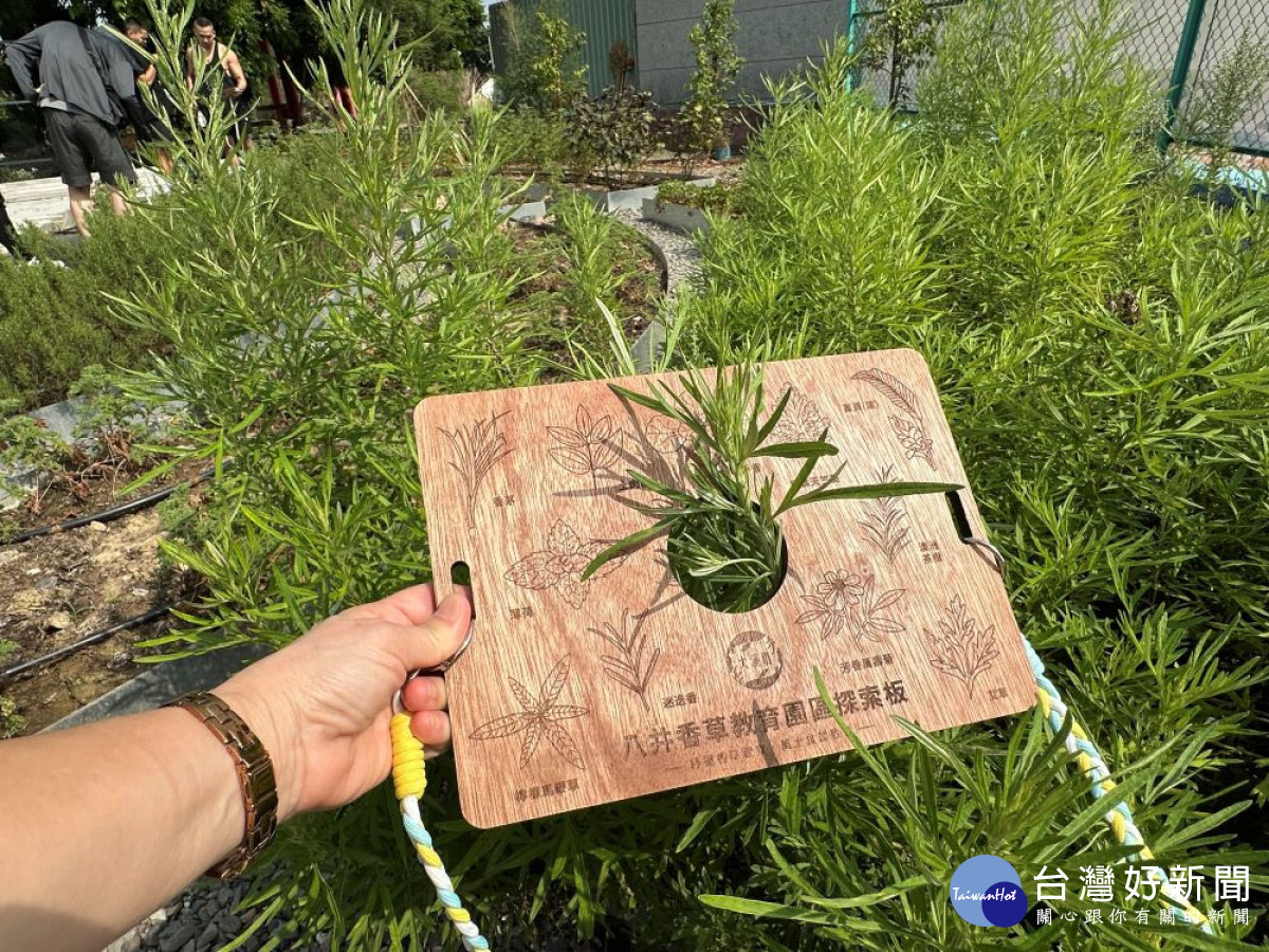 嘉義市大溪社區運用低碳香草食農教育園區,帶領遊客從認識香草到親手完成植萃洗髮餅。(圖/地方中心)