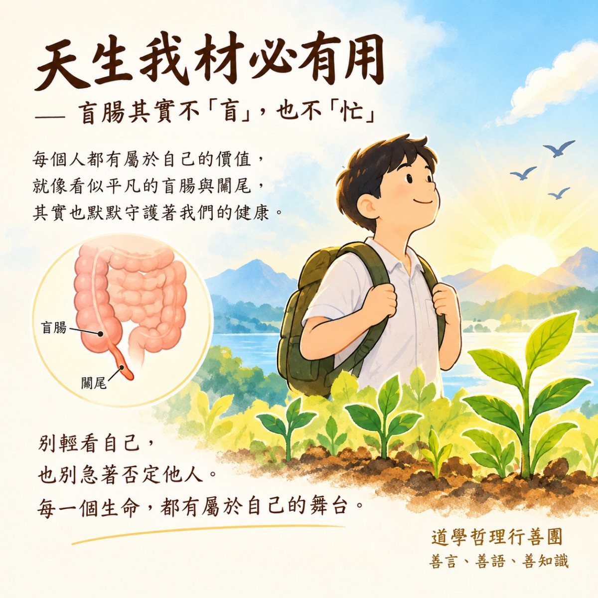 天生我材必有用 — 盲腸其實不「盲」，也不「忙」