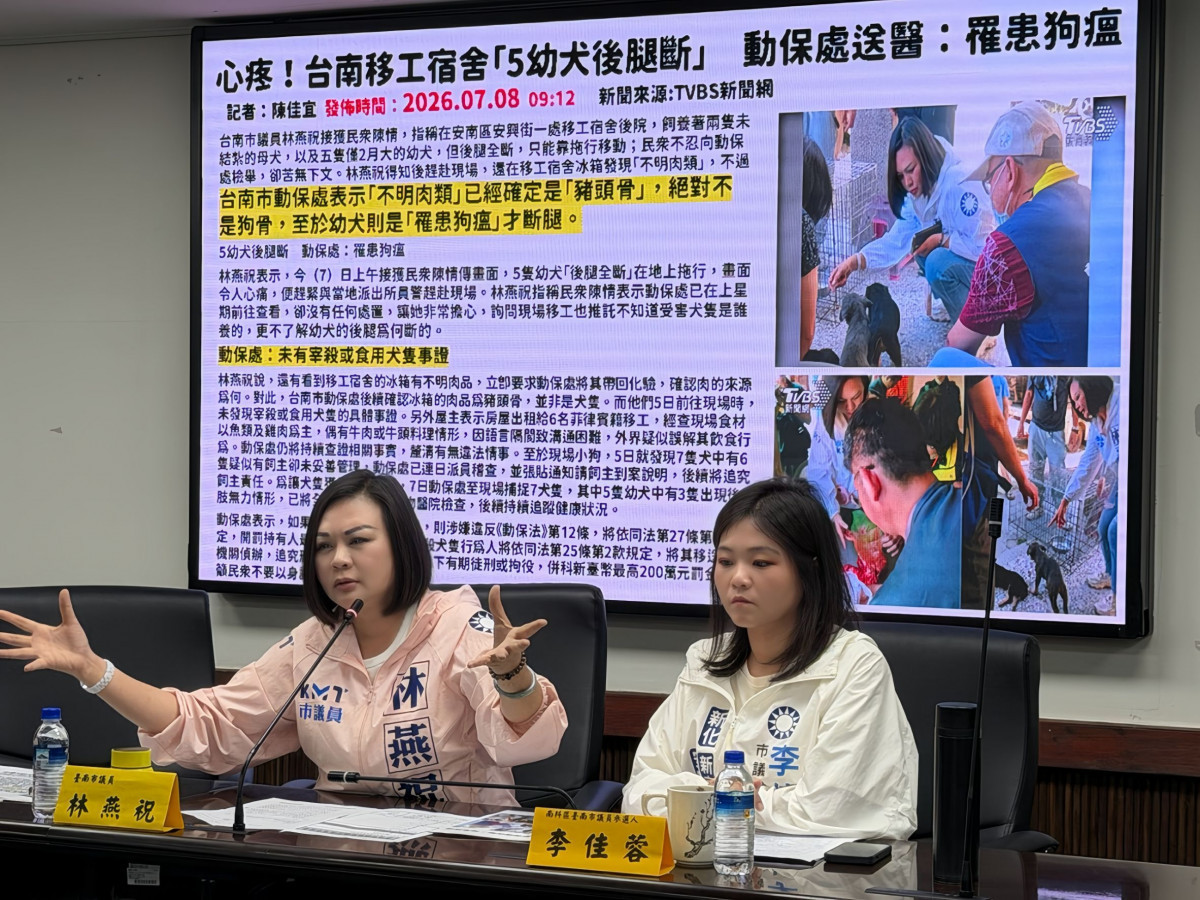 移工宿舍疑涉宰殺食用狗肉案　議員林燕祝批南市府隱匿結果延誤追查