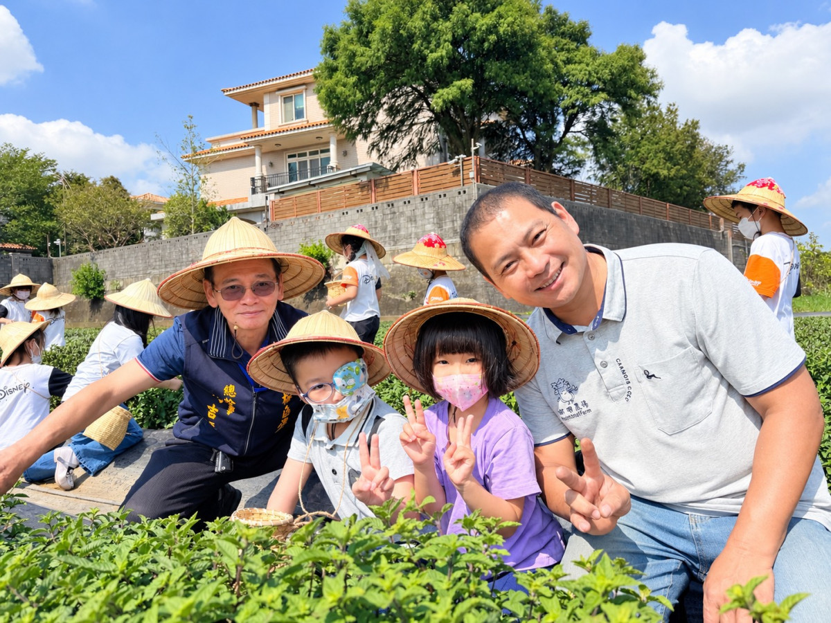 楊梅區農會推動仙草食農教育　幼兒親手體驗農作成果